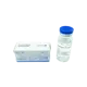 Zphc Pharma Testosterone Enanthate 250MG 10 Ampul